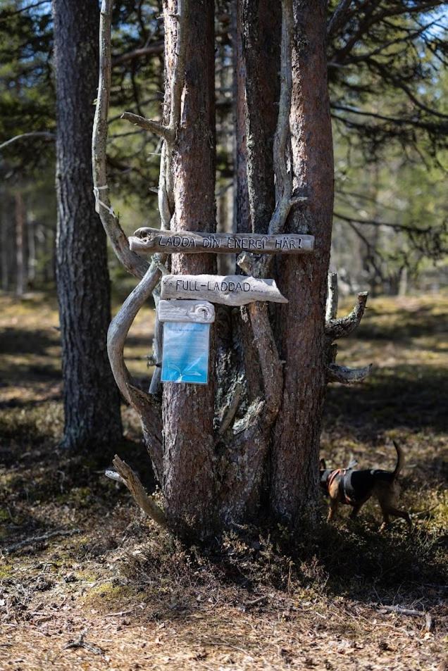 Отель Nordic Lapland Frevisoeren Батскарснас Экстерьер фото