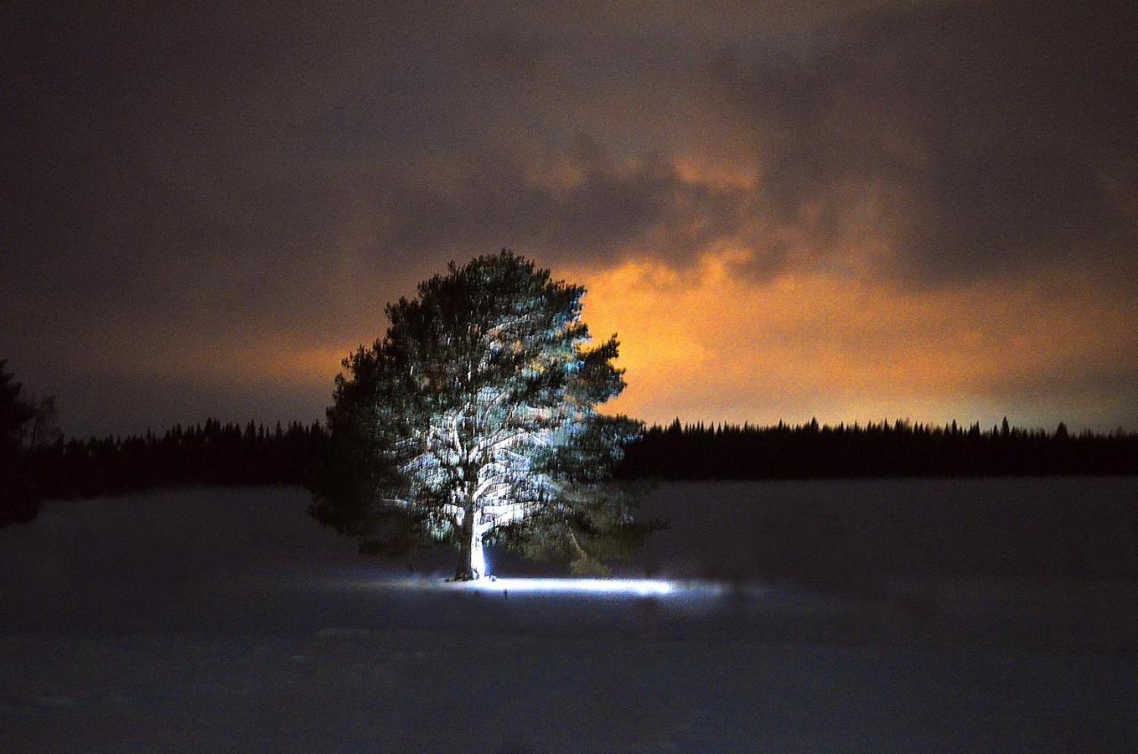 Nordic Lapland Frevisoren Батскарснас Экстерьер фото